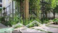 bán biêt thự phố vũ ngọc phan, dt 160 m2 x 5 tầng thang máy x 1 hầm