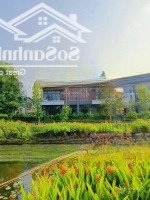 bán gấp biệt thự 12x17m, sân vườn rộng 204 m2 tại khu đô thị id junction, giá 12 tỷ