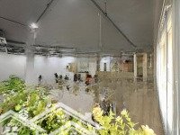 chuyên cho thuê văn phòng (offictel) charmington la poite, quận 10 - diện tích từ 31 - 200m2(24/24)