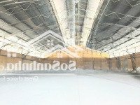 Cho Thuê Kho 450m2 Q4 Giáp Q1 Cho Kinh Doanh Tự Do, Studio, Thể Thao, Cho Thuê Dài Hạn