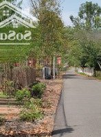 2 sào đường nhựa cắt lỗ giá chỉ 3tỷxx ...