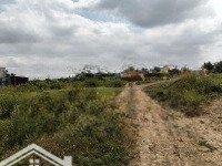 4700m2 full thổ cư mặt tiền tỉnh lộ 833b phước vân, cần đước long an