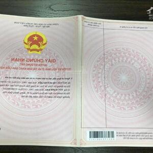 Các phần mềm này có thể giúp bạn tối ưu hóa chiến lược marketing trong lĩnh vực bất động sản