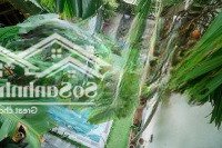 n.ợ bank bán villa phía biển an bàng 7pn, 230m2 đi bộ là ra biển