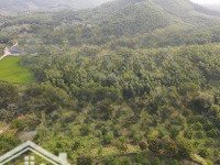 Cần Bán 3,5ha Phù Hợp Làm Trang Trại,nhà Vườn Tại Xã Bình Sơn Tp Sông Công Tỉnh Thái Nguyên
