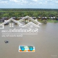 bán 15 công đất 2 mặt tiền lộ 927c và sông kênh sáng