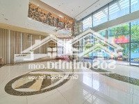 bán 250m2 sàn văn phòng toà nhà 99 láng hạ. giá 65tr/m2