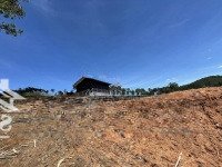 mình chính chủ muốn bán trang trại, khu nghỉ dưỡng tại xuân thọ, đà lạt, giá 6 tỷ, 8400 m2
