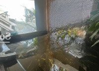 biệt thự nguyễn thị thập ngay phú mỹ hưng chỉ 39.9 tỷ