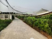 bán vài lô đất bê tông thông điện biên phủ và nguyễn tất thành 2 ô tô tránh nhau