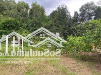 1000m2 đất bình dương có suối phía sau gần nhà máy xí nghiệp kcn an thái, view mát mẻ nghỉ dưỡng
