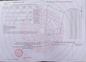 Bán đất vườn quê tại xã Tân Nhựt, huyện Bình Chánh, không gian tươi mát yên bình.