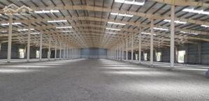 Cho Thuê Kho Mới Xây Cụm Cn Long An, Kv: 20.000M2, Xd: 5.000M2 - 10.000M2, Pccc Tự Động Thẩm Duyệt