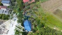 cho thuê nhà vườn lâu dài tại phú hữu xã minh phú - sóc sơn