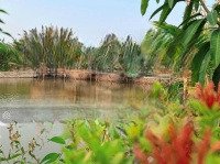 Cho Thuê Hồ Câu Cá Giải Trí P.an Phú Quận 2 Dt 6000m2 Giá Chì 30tr/m2 Lh 0938369676 Thắm