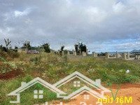 bán đất tại xuân thọ, đà lạt, 5 tỷ, 233m2, pháp lý đầy đủ