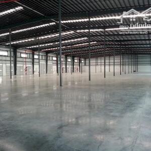 Cho thuê 20.000m² kho xưởng Gò Dầu, Tây Ninh.