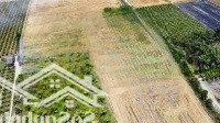 Tiêu đề: Bán đất Vườn 4.000m2, Có Sẵn Thổ Cư 800 M2. Hẻm Tl832 Tân Bình, Tân Trụ, Long An