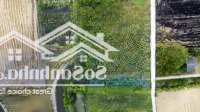 Bán đất Vườn 2.242m2, Có Sẵn Thổ Cư 540 M2. Hẻm đường Nguyễn Thị điểm, Tân Bình Tân Trụ, Long An