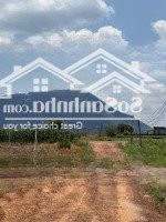 Chủ Vườn Bán Gấp Lô Vườn Mãn Cầu 1000m2 View Núi Bà đen Trực Thuộc Tp Tây Ninh Giá 399tr