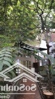 cho thuê nhà 2 tầng giữa vườn cây, ngay ngã tư sở chỉ cách ga láng 100m