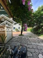 biệt thự sân vườn xã đông la hoài đức