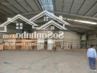 cho thuê kho 1.500m² đường container ngay tp. bà rịa thiết kế chuẩn hạ tầng sẵn sàng giá thuê tốt