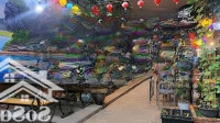 bán tòa homestay & coffee bar 2 mặt tiền dòng tiền ổn định 150 triệu/tháng
vị trí: phố du lịch