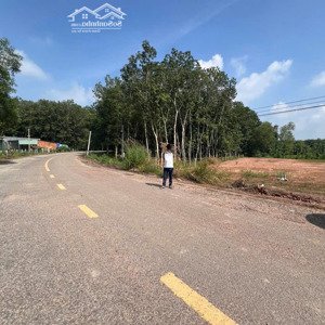 siêu phẩm miếng đất mặt tiền đường nhựa dh 519 bình dương phước sang, 378m2 giáp mương ra 450tr