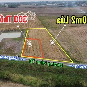 1300m2 có sẵn 300m2 thổ thích hợp xây nhà vườn, kho xưởng, hoặc đầu tư kinh doanh