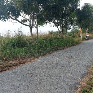 bán đất vườn diện tích: 1330m2 xã tân thạnh tây, củ chi
