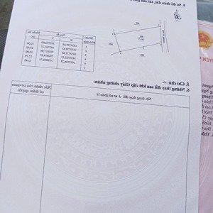 chính chủ bán nhanh lô đất thạch tuân hoà xuân đông đường ô tô 241,3m2 ngang 10m chỉ 530tr