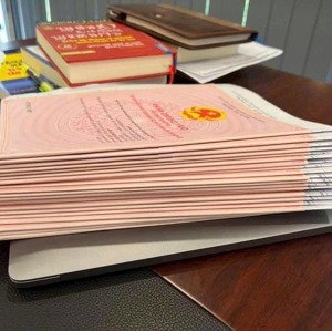 dự án iconic quy nhơn phát triển bởi tập đoàn phát đạt, bình định