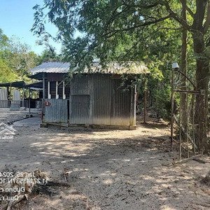 Góc 2 Mặt Tiền Trang Trại Khu Nghỉ Dưỡng 2.318m2 ở Kênh đông, Bến Củi, Dương Minh Châu, Tây Ninh.