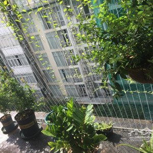 căn hộ chung cư trung tâm quận 1 cho thuê lâu dài
