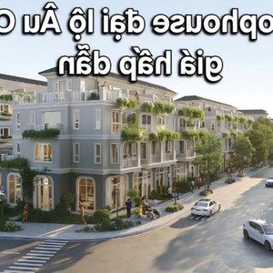 Giá đất Mặt đường đại Lộ 34m Chỉ 58tr/m2 Thì Sở Hữu Ngay Không?