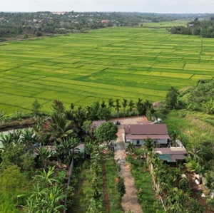 View Nghĩ Dưỡng Tại Eadrong, Tx Buôn Hồ, đaklak, 2500m2, 100 Thổ Cư