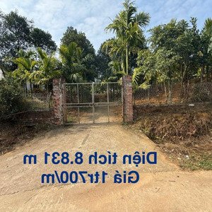 Cần Thanh Lý Lô đất Xã Phụ Khánh, Hạ Hoà, Phú Thọ Có 400m2 Ont, 8431m2 Cln