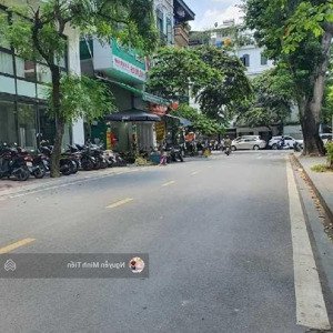 phân lô - trần quang diệu - 70m2 x 6t - oto - thang máy - mặt tiền quyền lực - kinh doanh - nở hậu