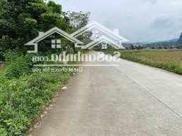 cho thuê kho, nhà xưởng 135 triệu, 9000m2 tại nguyễn bình, xã hiệp phước, nhà bè, hcm hàng hot