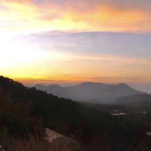 Cho Thuê đất View đẹp Làm Quán Cafe Tại Trại Mát đà Lạt. Cách Trung Tâm 9km