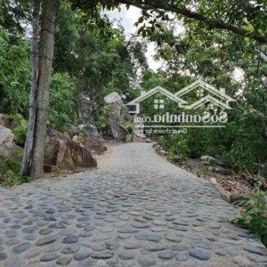 bán mảnh đất vị trí vàng tại vịnh vĩnh hy, ninh hải, ninh thuận - giá chỉ 1.8tr/m2