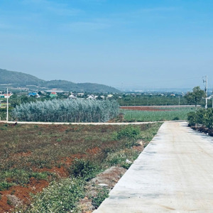 bán đất nền 169m2 tại xã liên hiệp, đức trọng, lâm đồng, 980 triệu