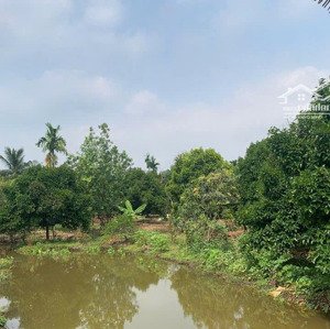 Tin Thật đất 3650m2 đất Trồng Cây Công Nghiệp Giá Rẻ Hãy Gọi Ngay