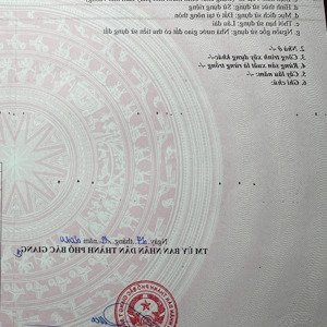 đất phân lô vuông vức siêu đẹp đối diện ubnd xã đồng sơn