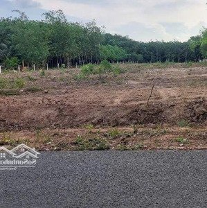 bán gấp đất đẹp tại xã lai hưng, bàu bàng, bình dương, 850 triệu, 100m2