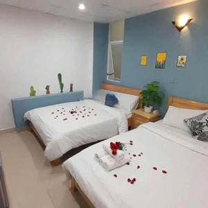 cho thuê khách sạn đường nam kỳ khởi nghĩa, p1, đà lạt - 35 phòng - đầy đủ giấy phép - 80tr