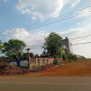 bán gấp 9179,2 m2 mặt tiền đường d1 gần trạm thu phí tân lập tỉnh bình phước.