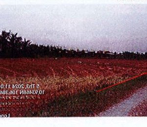 bán đgts đất tại xã tân mỹ, huyện đức hòa, tỉnh long an