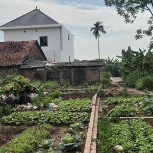 ô tô tránh đỗ cổng, gần hồ, nhà văn hoá, trung tâm phố sầm uất, mặt ngõ.
đất thổ cư dt 40m, mt 6,8
